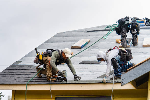 Professional Roofing technician working in Girard, IL